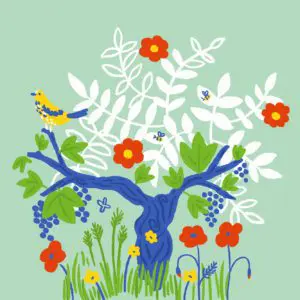 Pratiquez une "gestion différenciée"